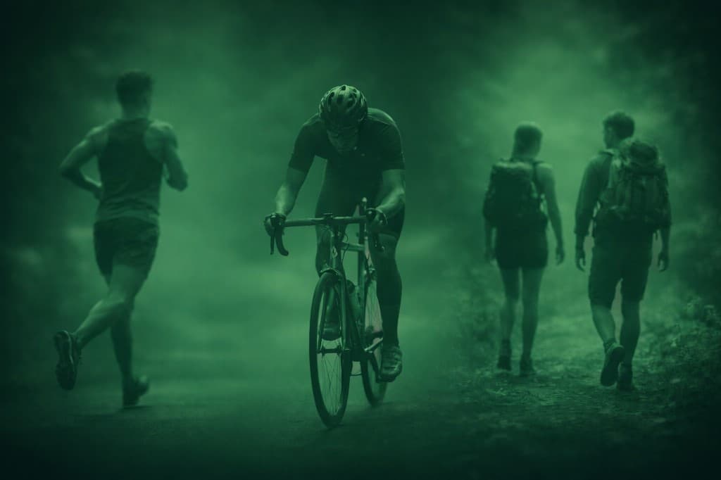 Runner in misty green tones